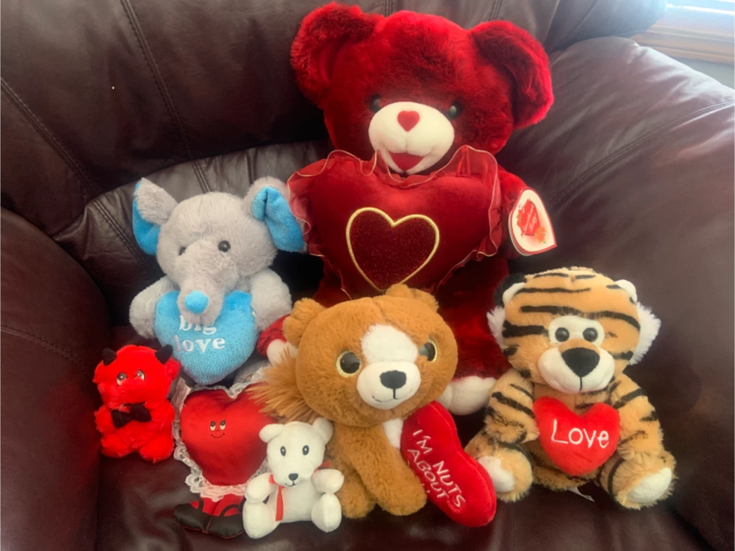 Assorted Plush Toys - Bundle Deal! - photo 3