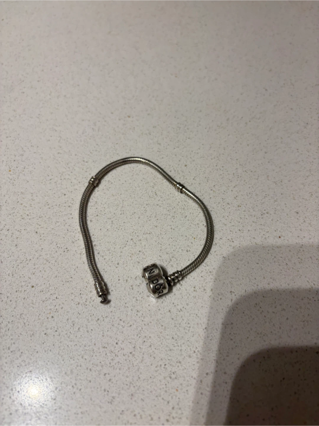 Pandora Charm Bracelet