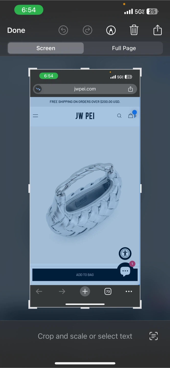 JW PEI Gabbi Bag - Silver