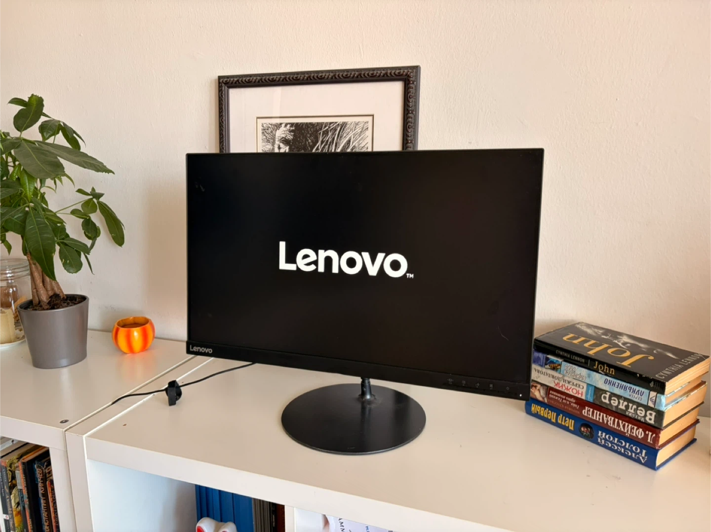 Lenovo L24i-20 Monitor 24" FHD IPS Display
