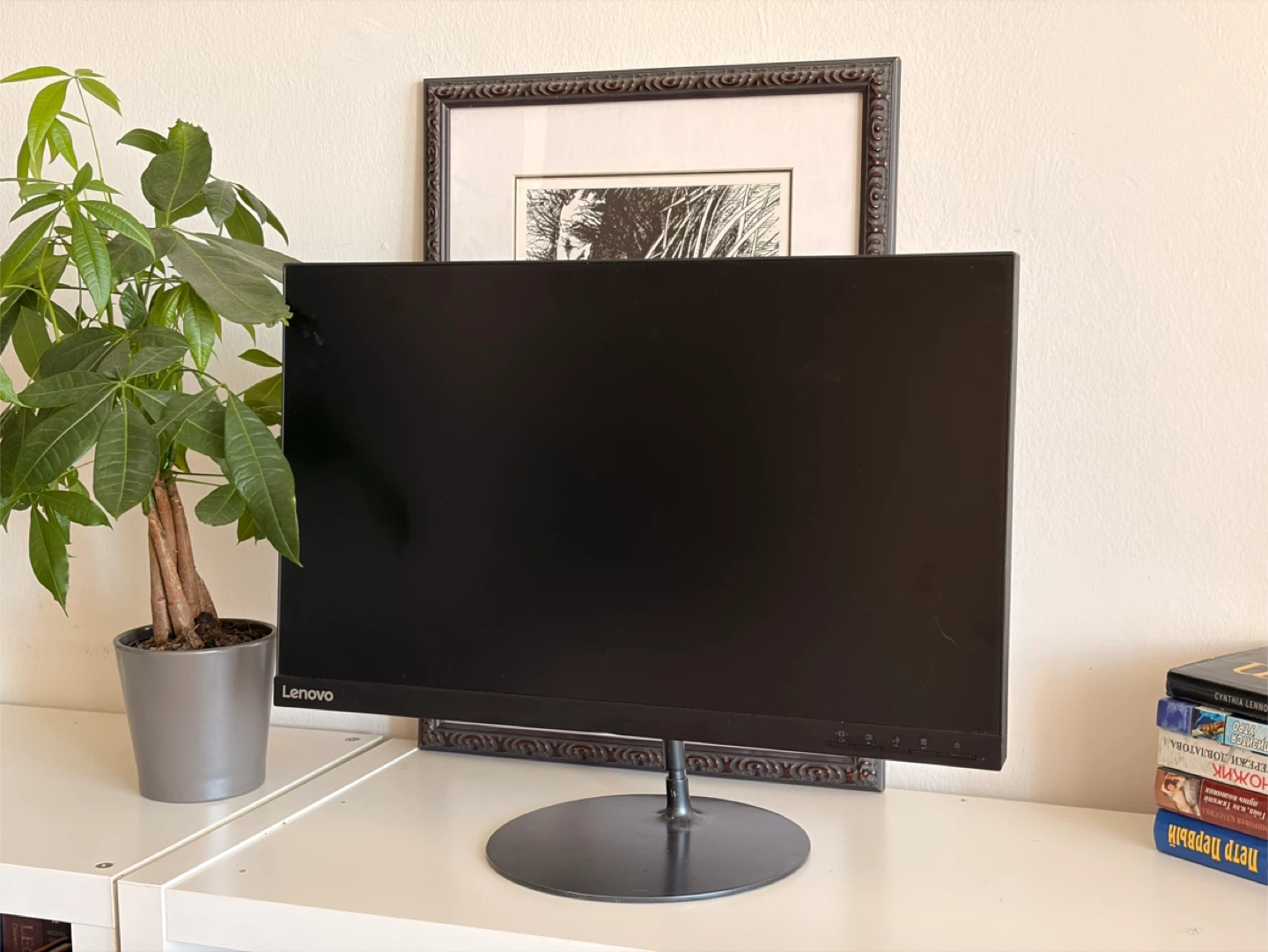 Lenovo L24i-20 Monitor 24" FHD IPS Display - photo 3