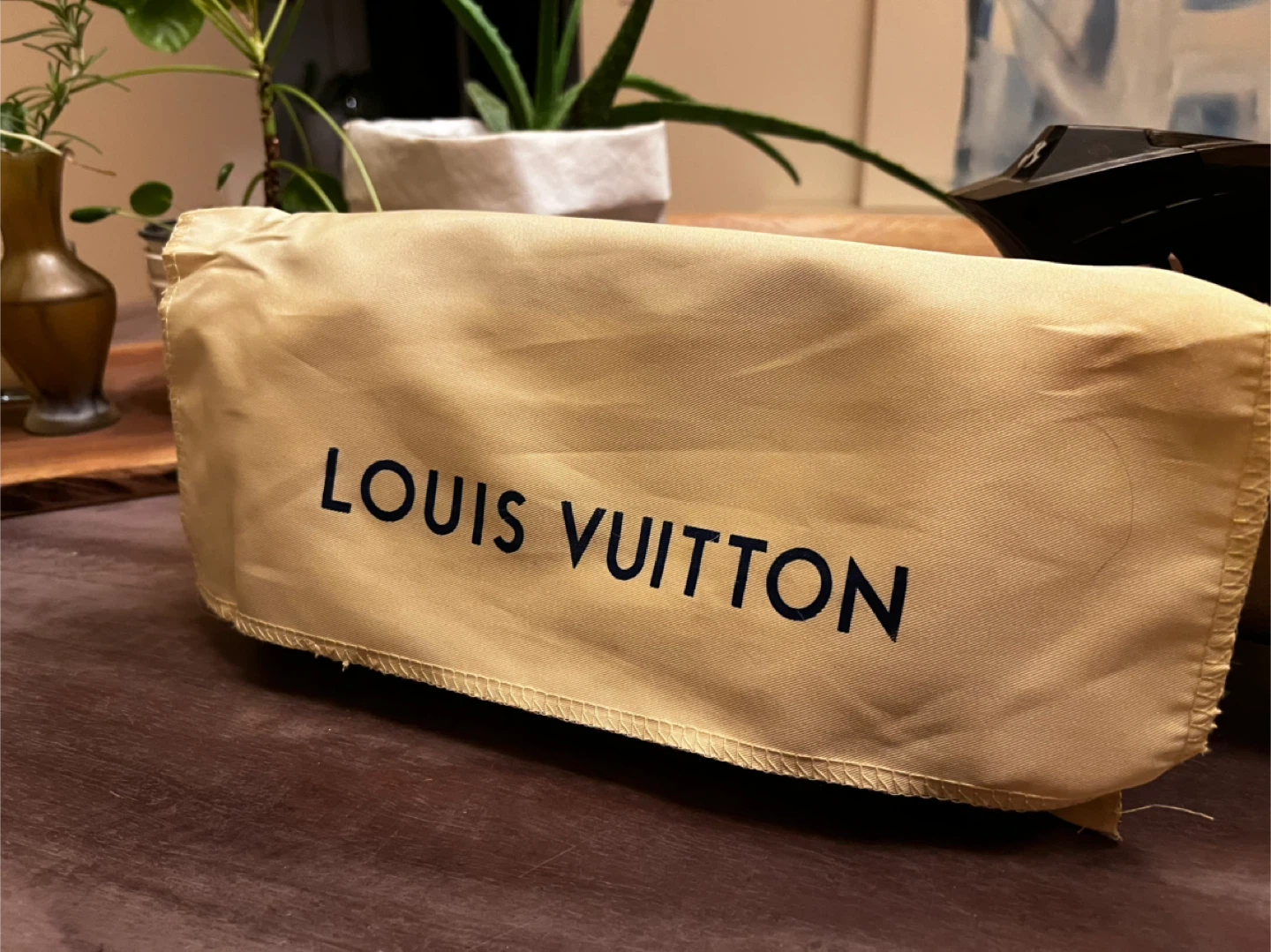 Louis Vuitton Pochette Métis East West