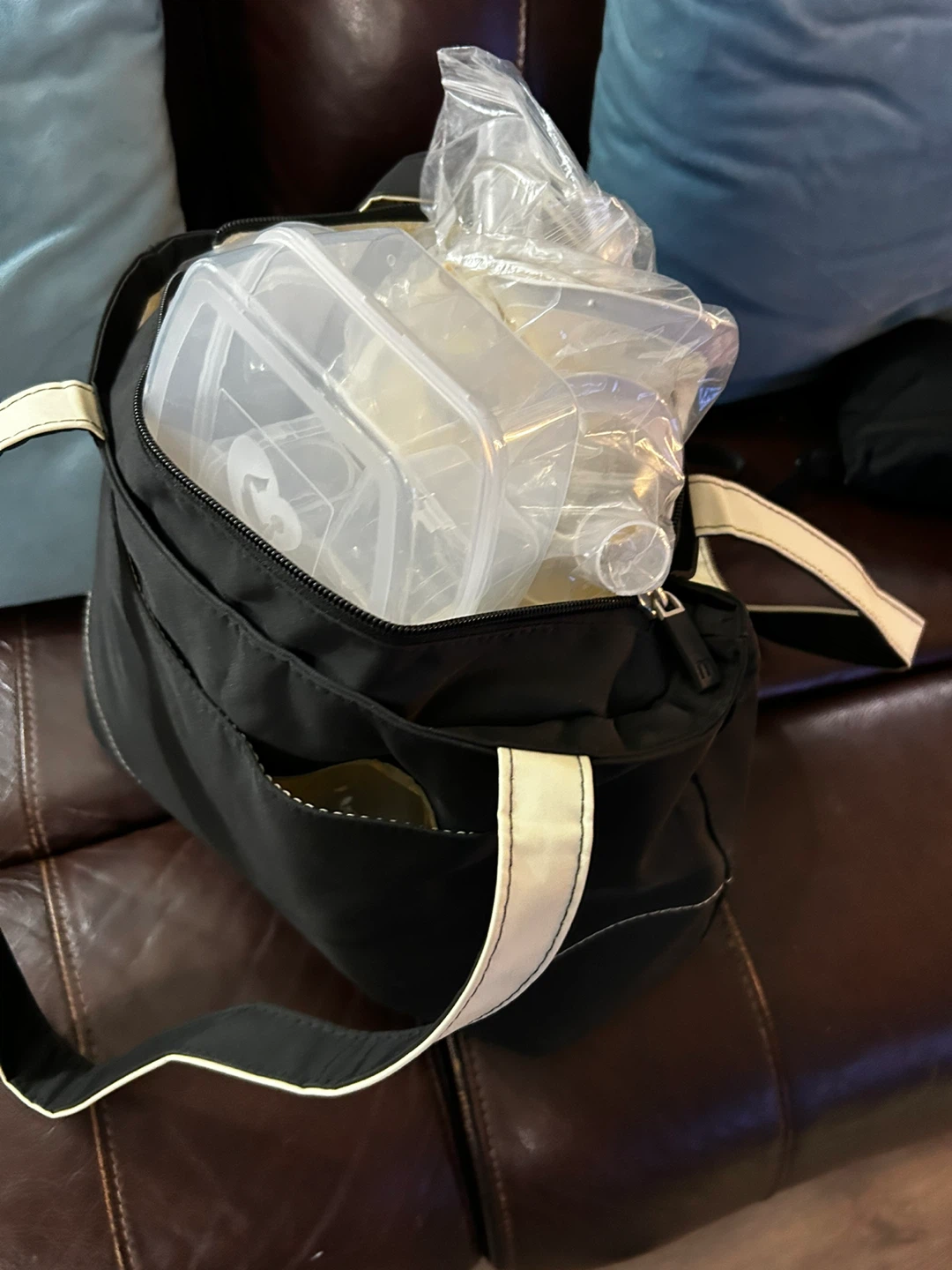 Medela Breast Pump Bag with Accessories and pimp included