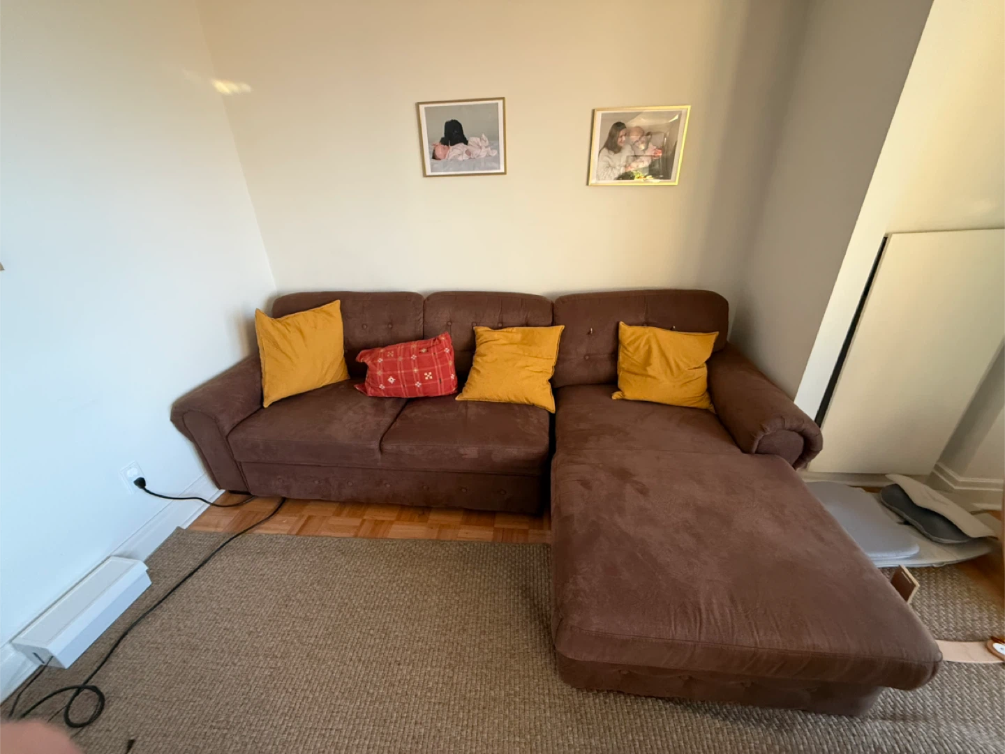 Brown Sectional Sofa-bed with Storage