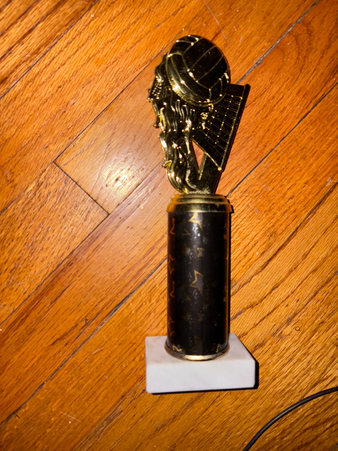 🥕 Volleyball Trophy
