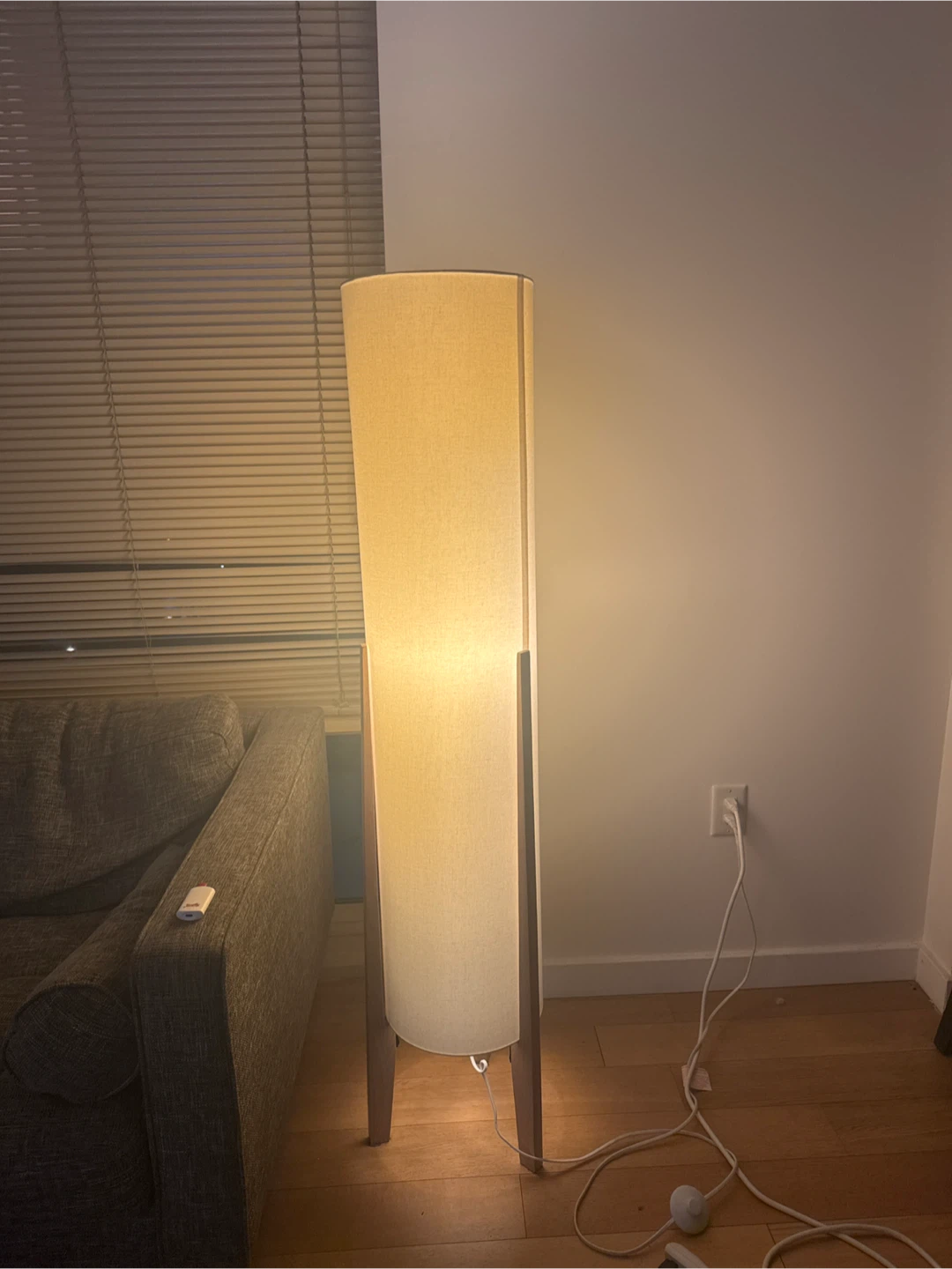 Modern Floor Lamp - Great Condition!