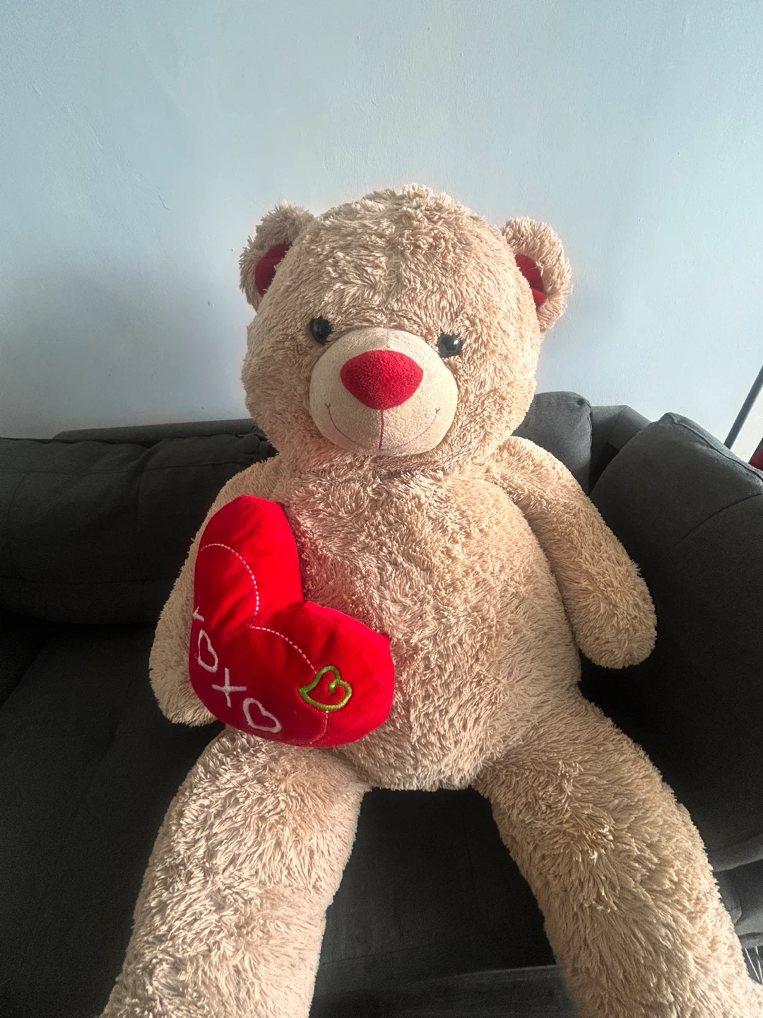 Large teddy bear, great for Valentines Day!