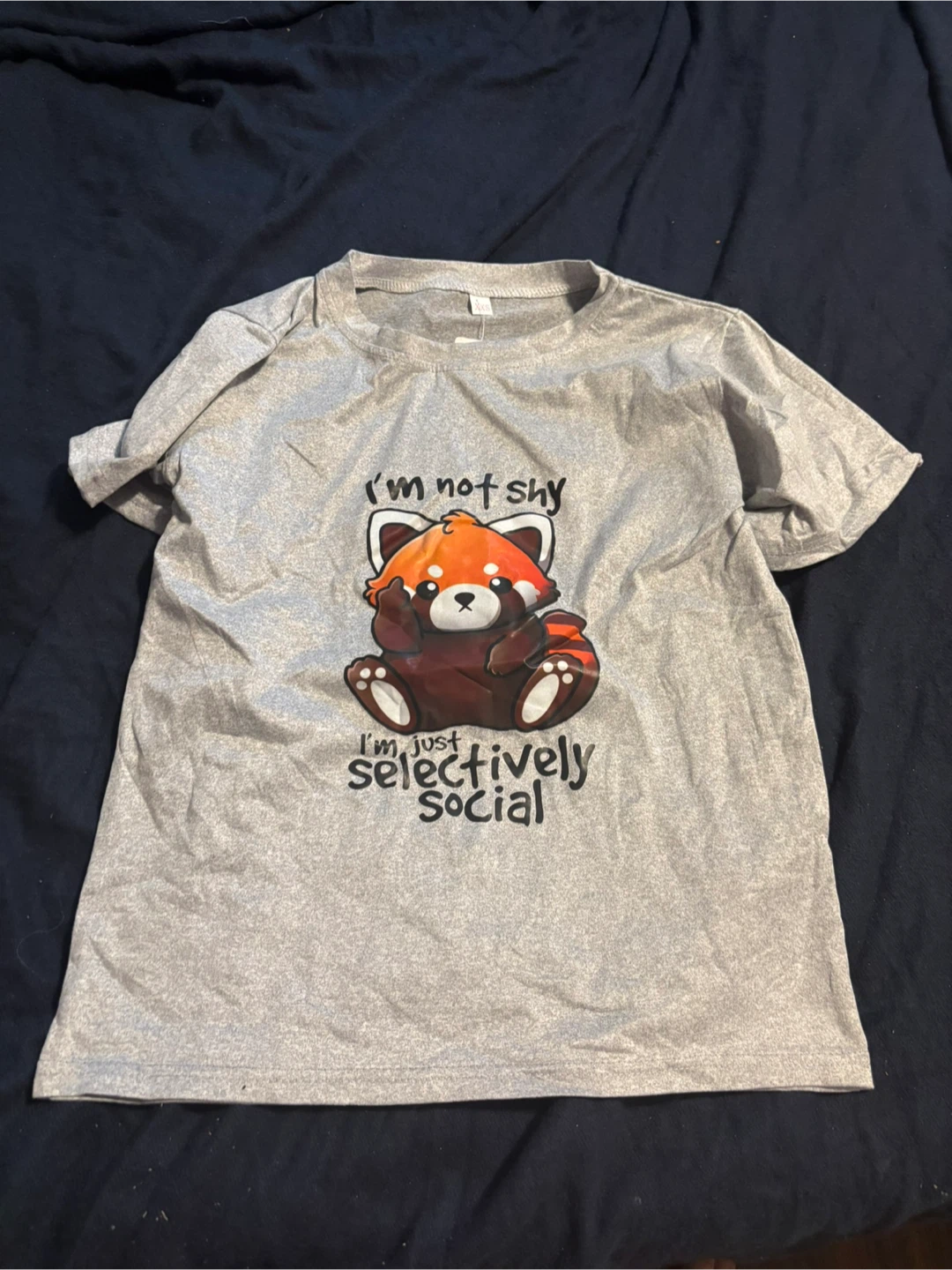 Red Panda Graphic T-Shirt