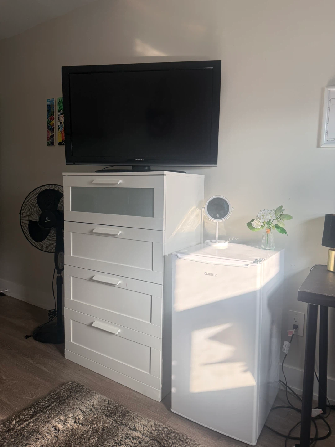 Room for rent in Parkdale - photo 3