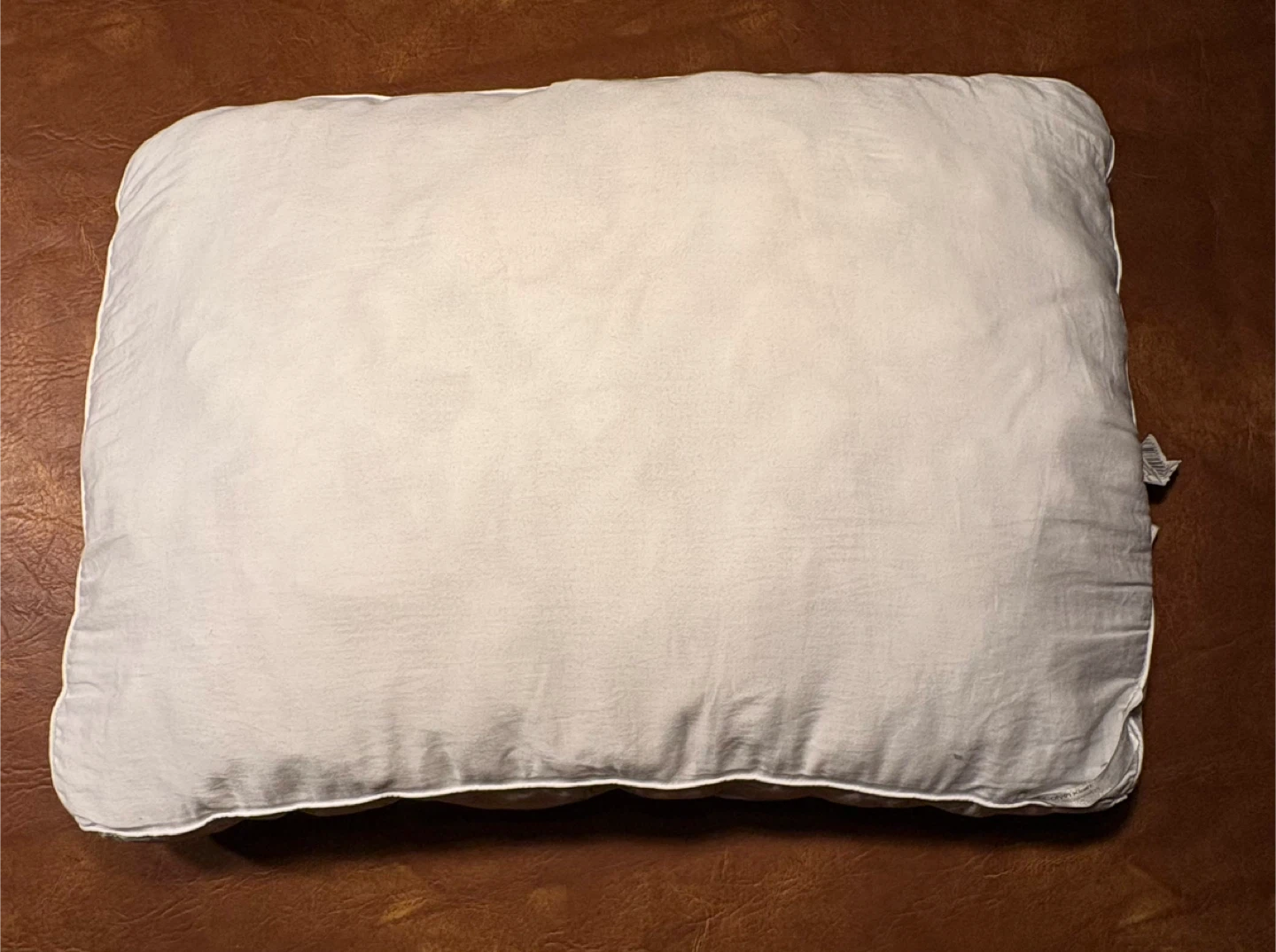 Calvin Klein Pillow