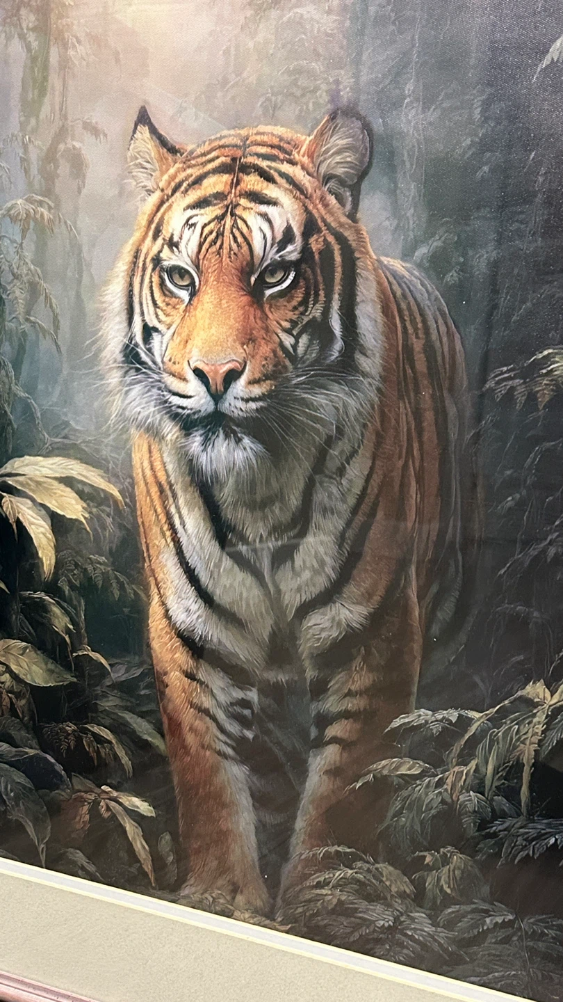 Large Framed Tiger Art Print. Pinkish hue frame . Super cool - photo 3