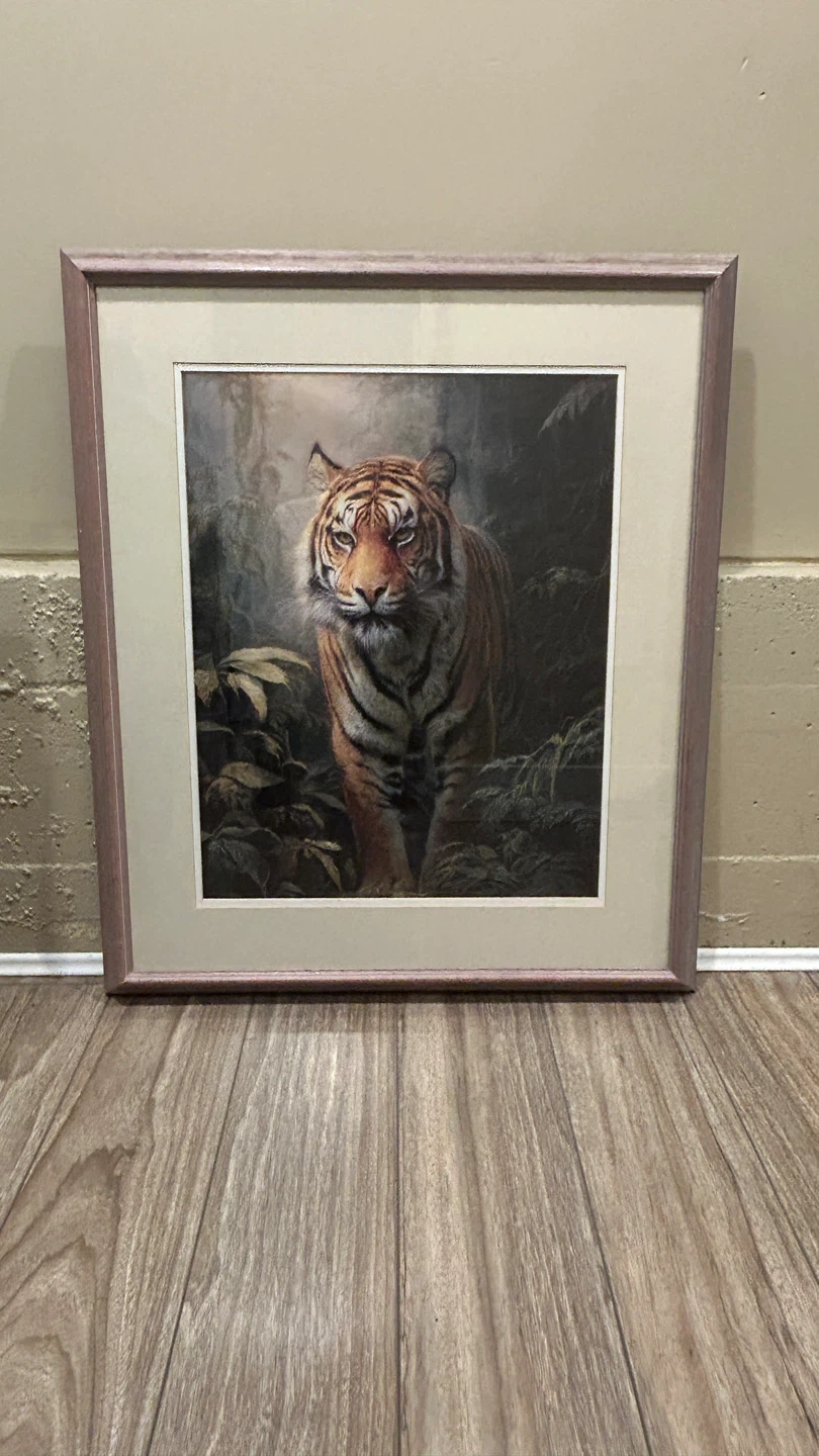 Large Framed Tiger Art Print. Pinkish hue frame . Super cool