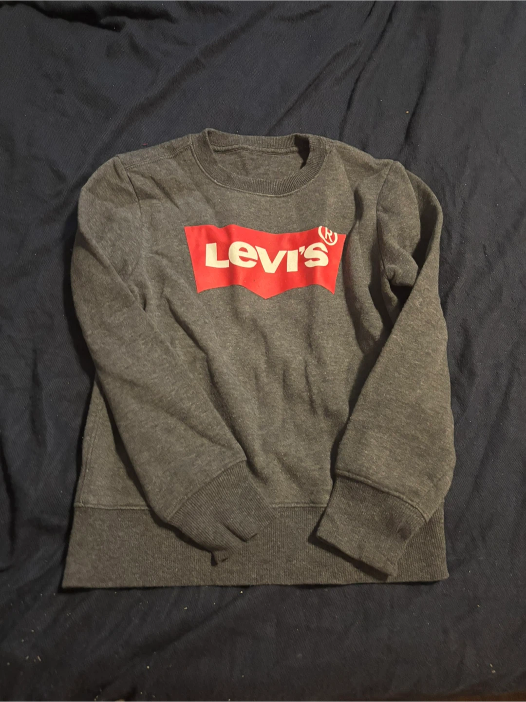 Levi's Grey Sweatshirt small kids