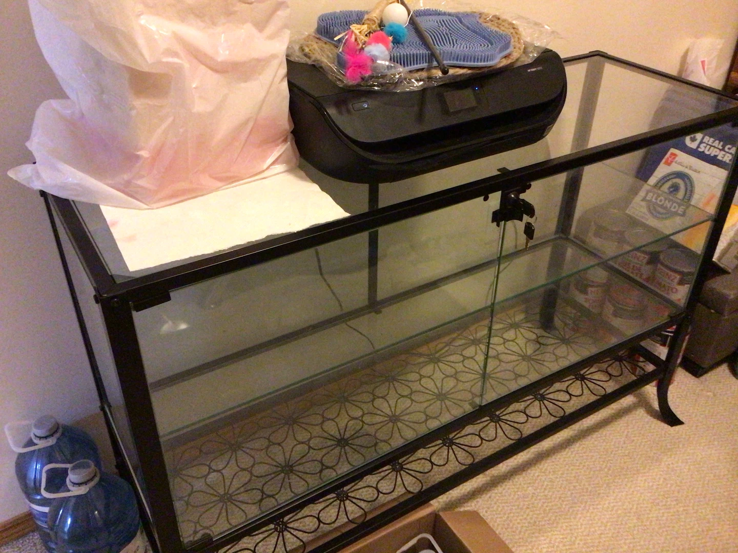 Black Metal & Glass Display Case