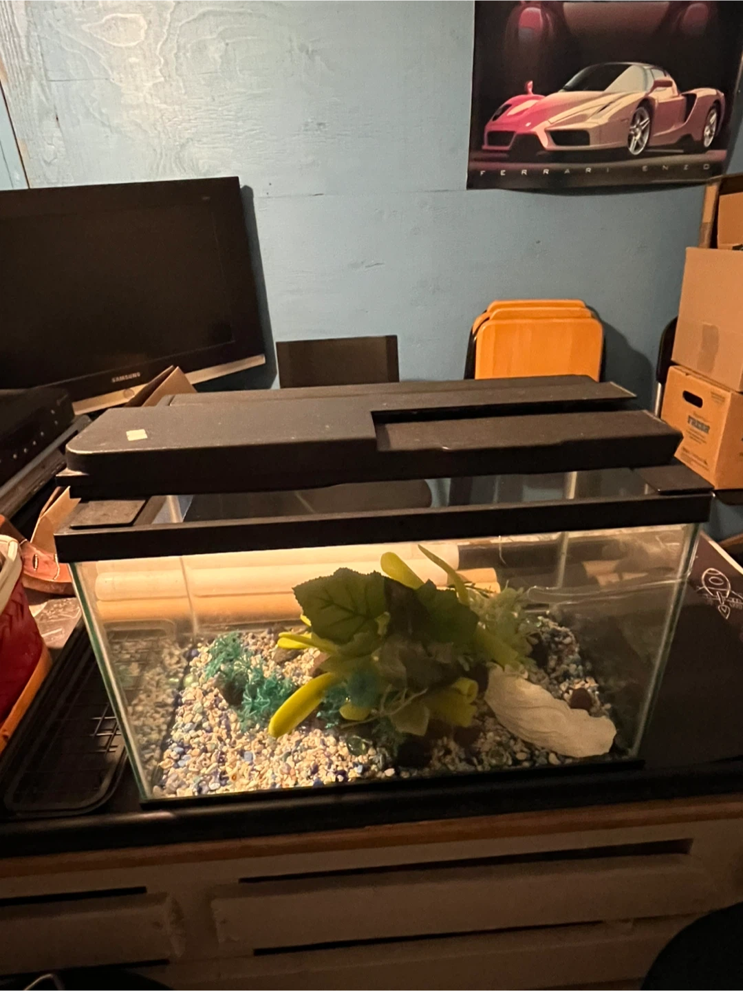 5 Gallon Fish Tank with Accessories