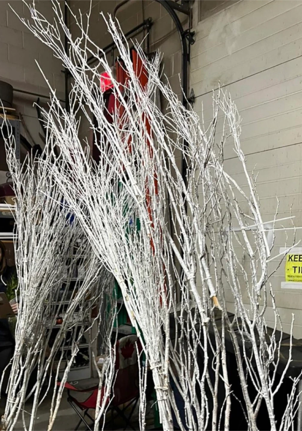 Decorative White Birch Branches - photo 3