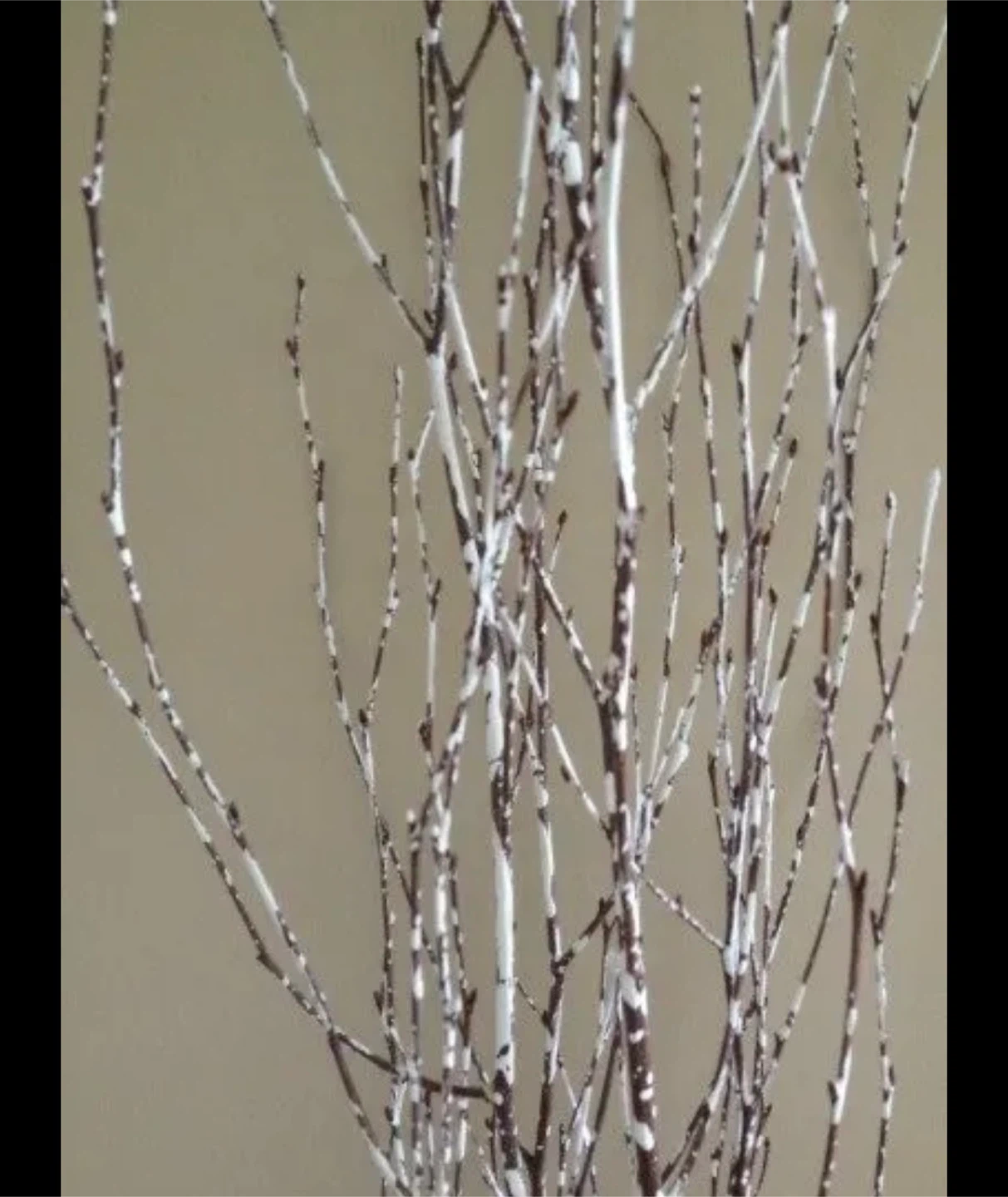 Decorative White Birch Branches - photo 5