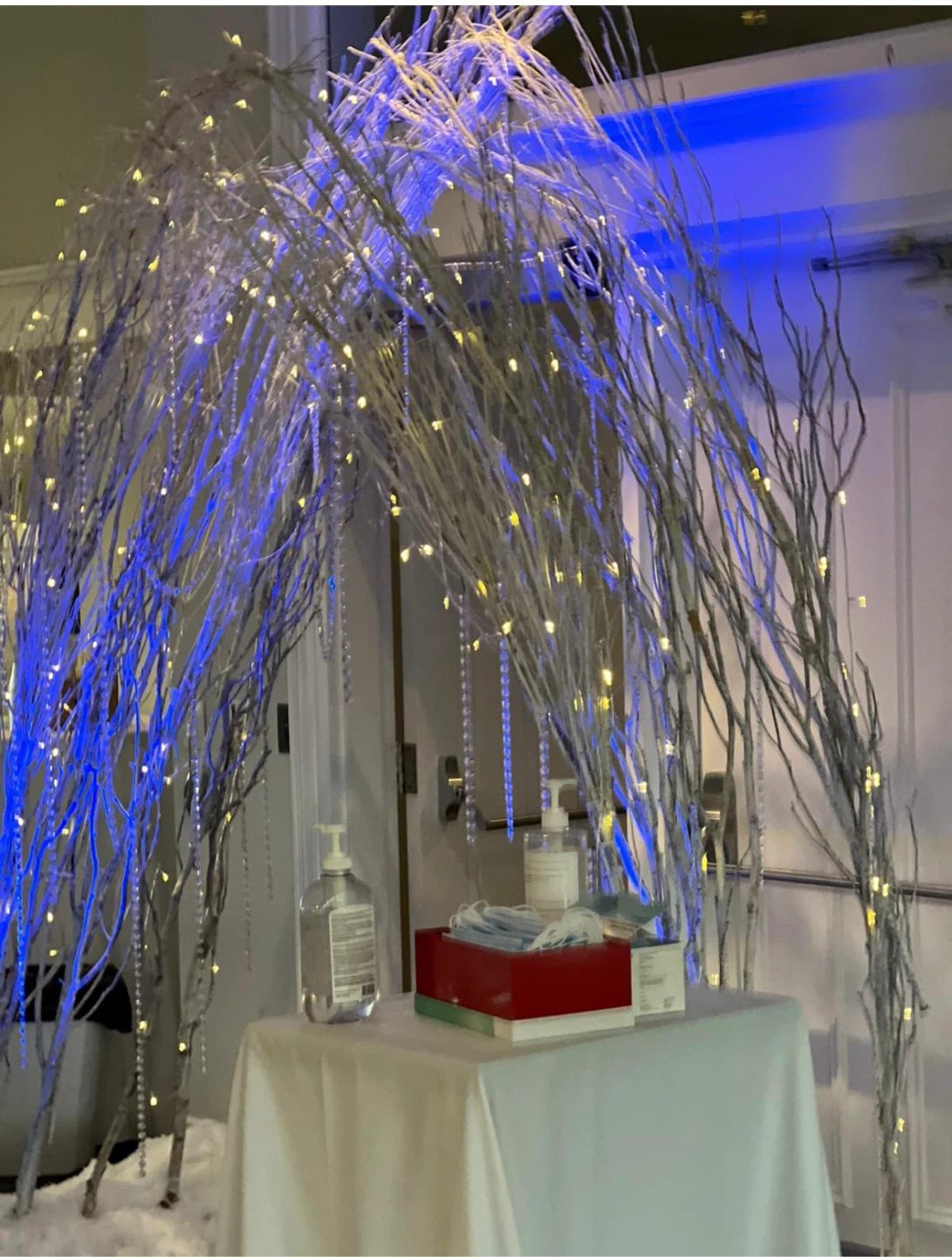 Decorative White Birch Branches