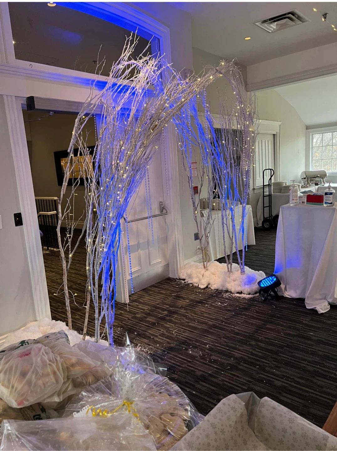 Decorative White Birch Branches - photo 2