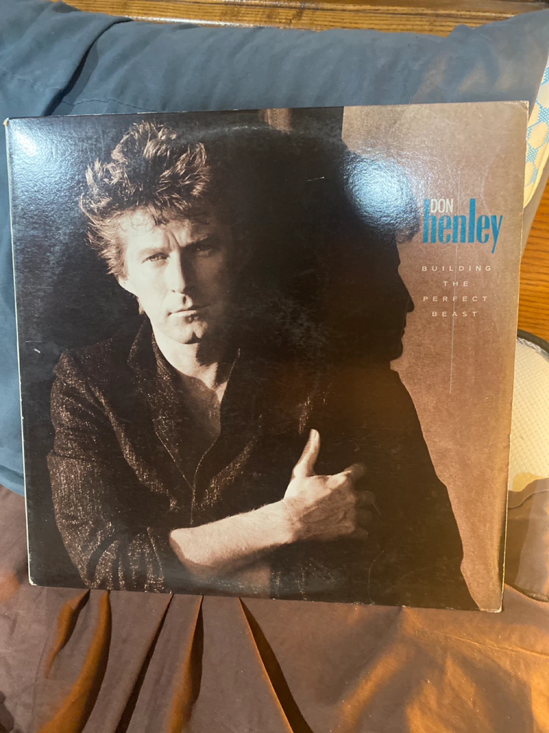 Don Henley - Building the Perfect Beast Vinyl Record