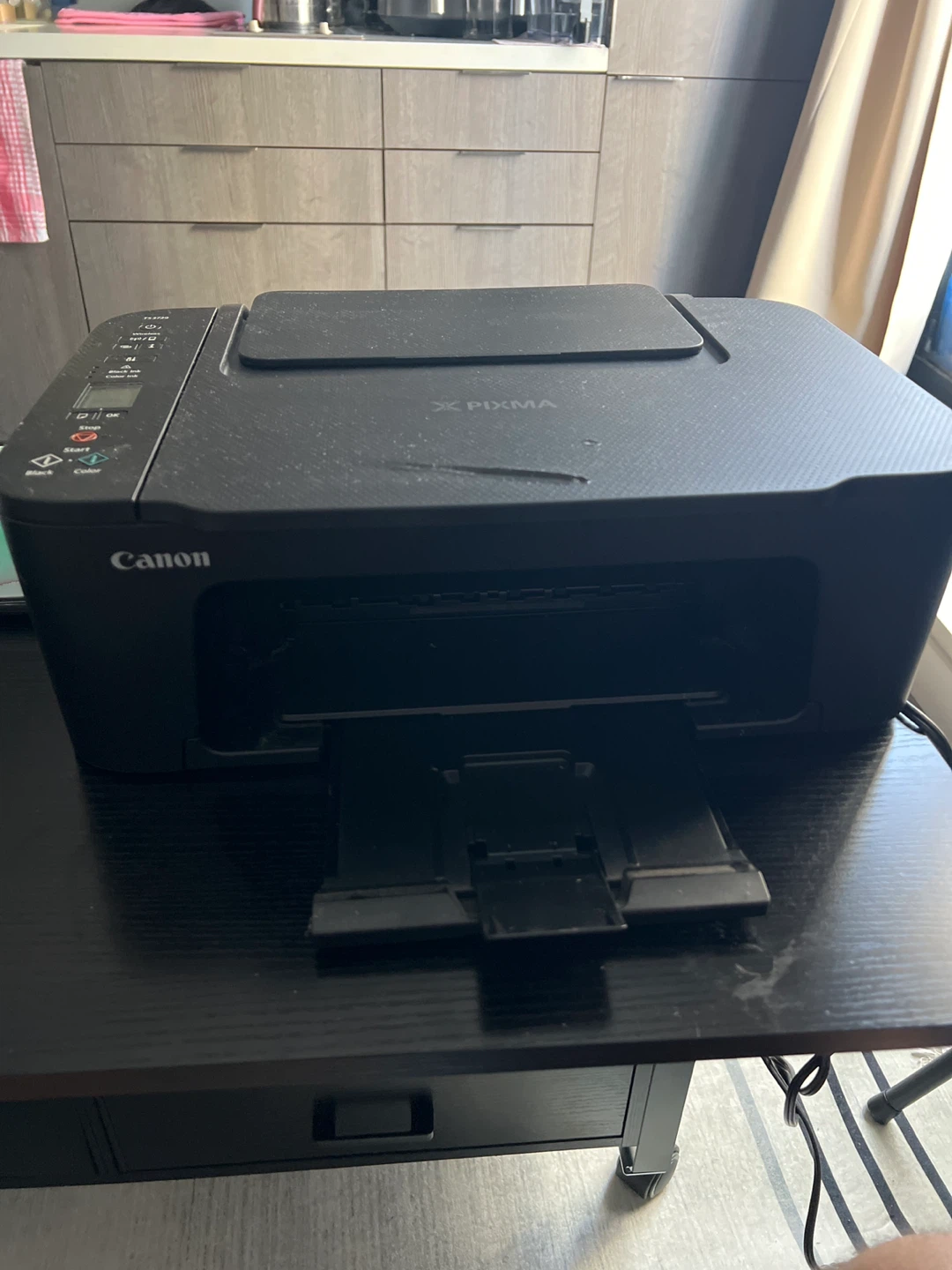 Canon PIXMA TS3729 All-in-One Printer