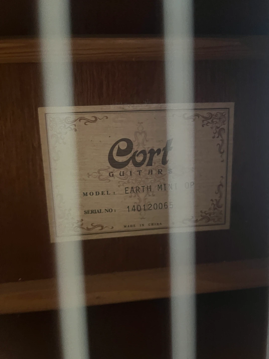 Cort Earth Mini OP Acoustic Guitar - photo 4
