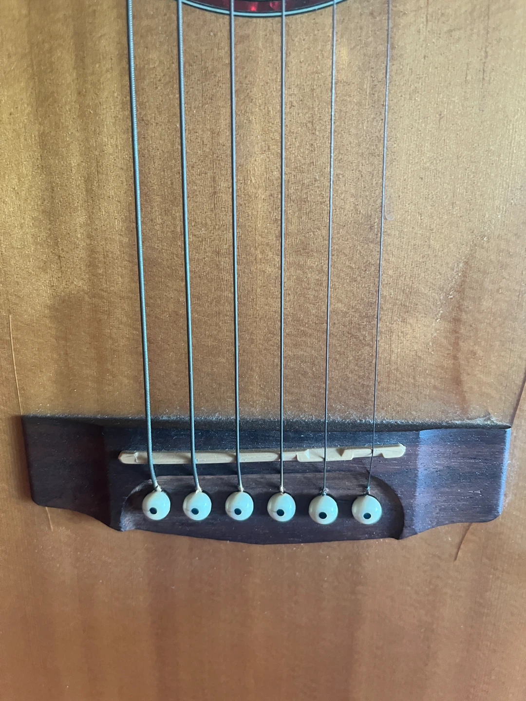 Cort Earth Mini OP Acoustic Guitar - photo 2