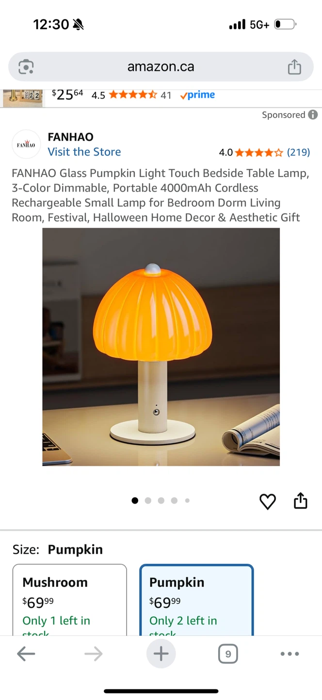 Glass Pumpkin Cordless Light -Table Lamp -New - photo 5