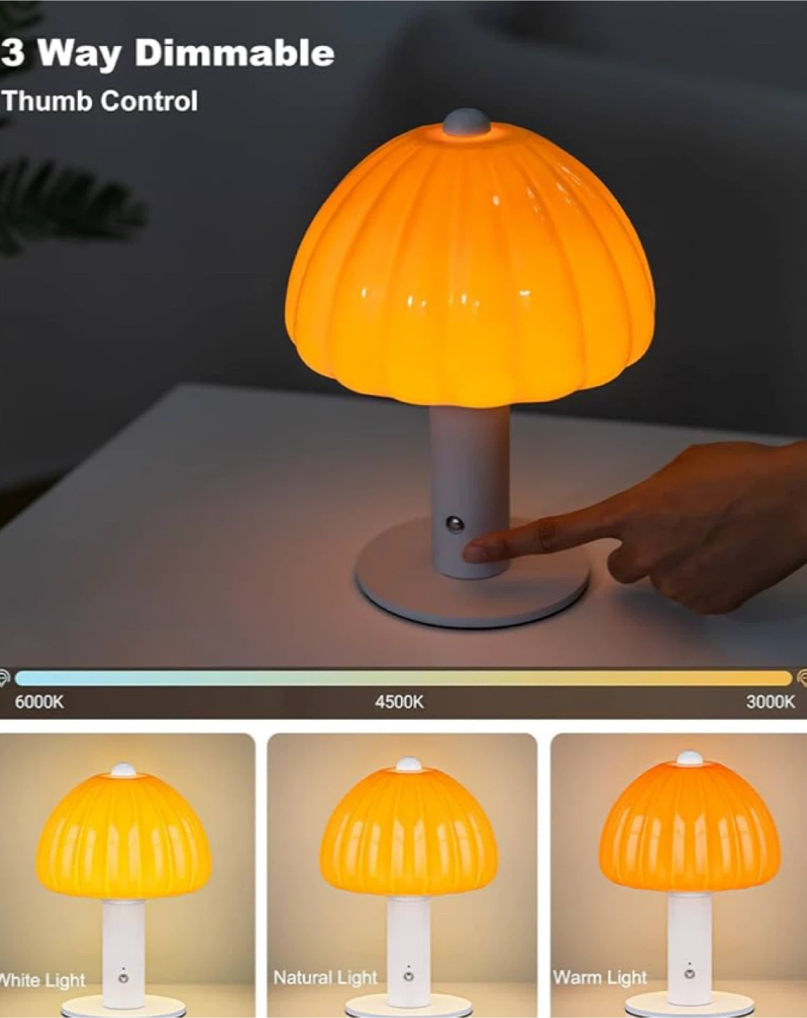 Glass Pumpkin Cordless Light -Table Lamp -New - photo 4
