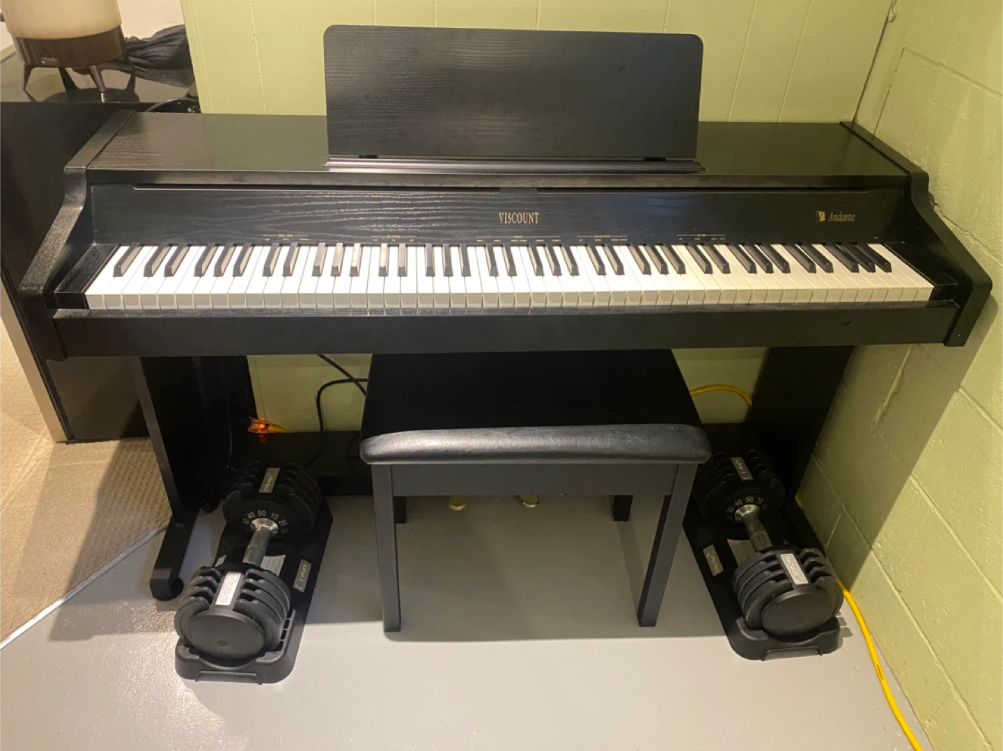 Viscount Andante Digital Piano