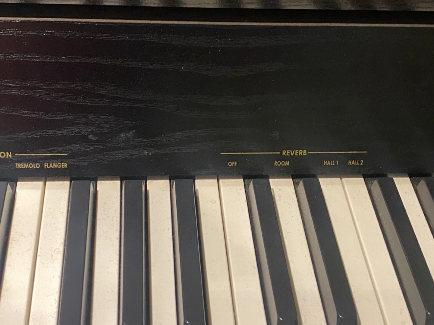 Viscount Andante Digital Piano - photo 5