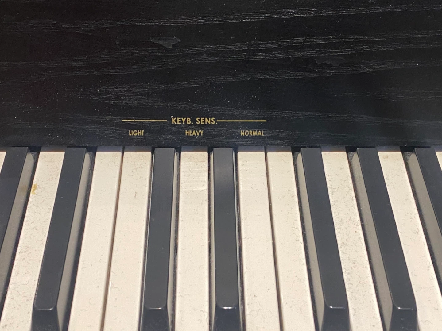 Viscount Andante Digital Piano - photo 2