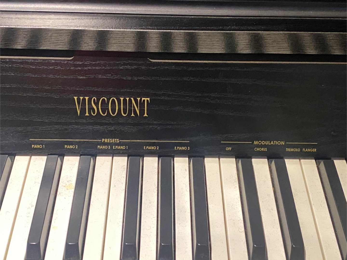 Viscount Andante Digital Piano - photo 4