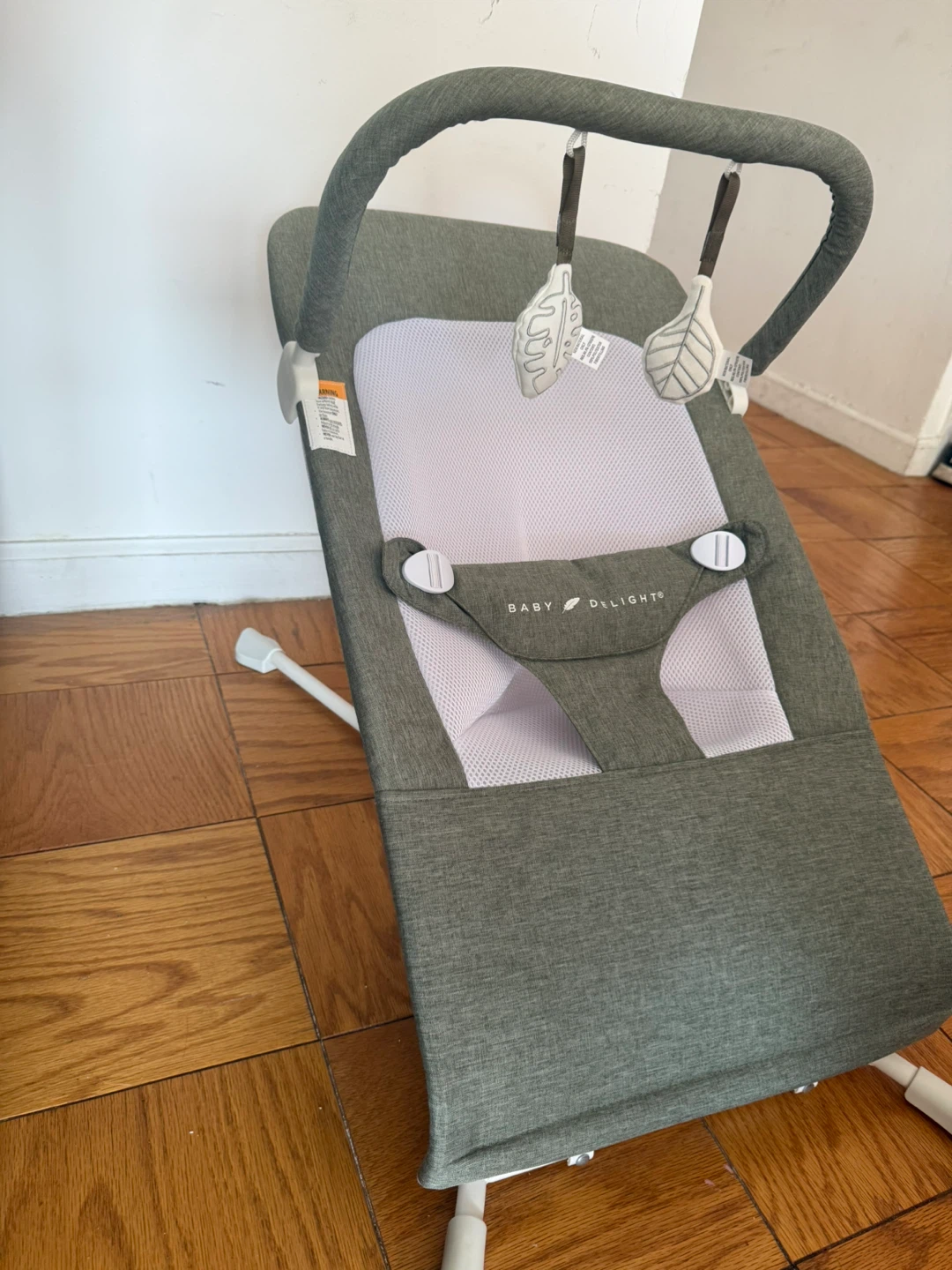 Baby Delight Infant Bouncer Seat