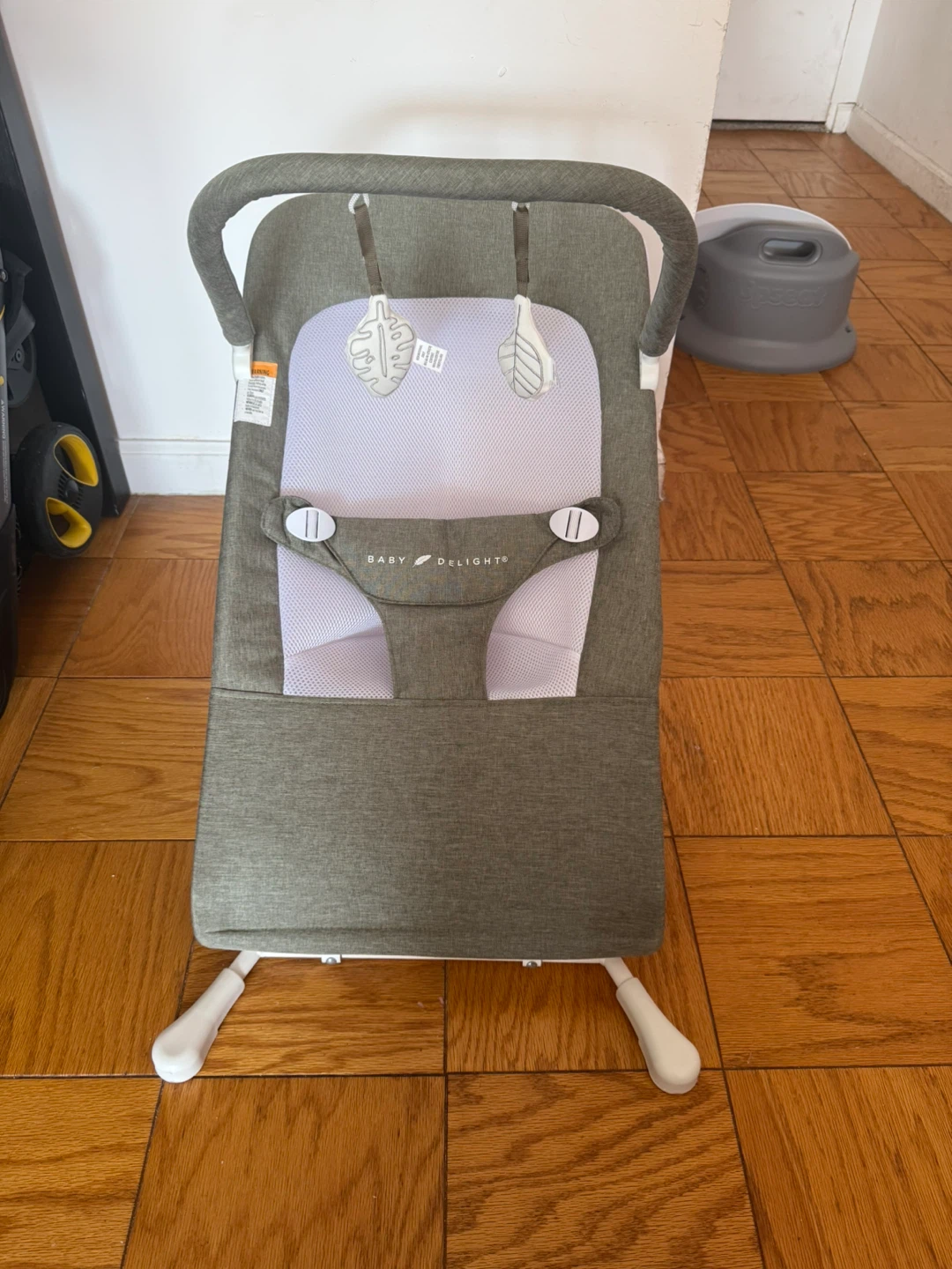 Baby Delight Infant Bouncer Seat - photo 2
