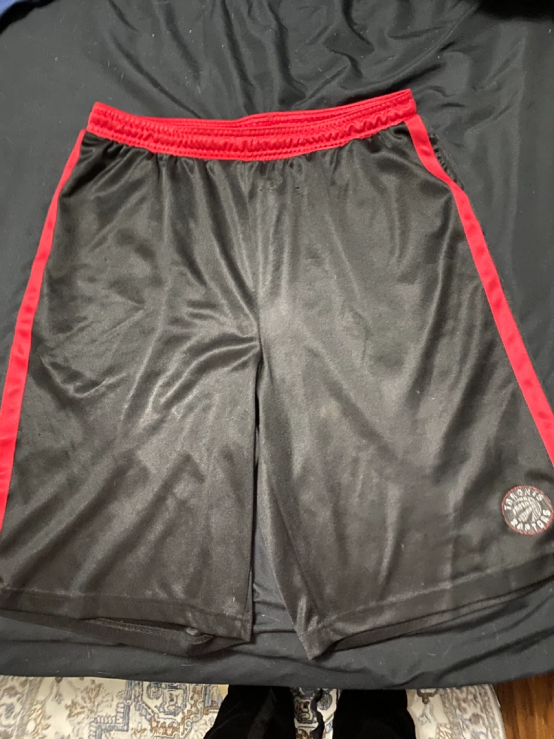 Toronto Raptors Basketball Shorts size L