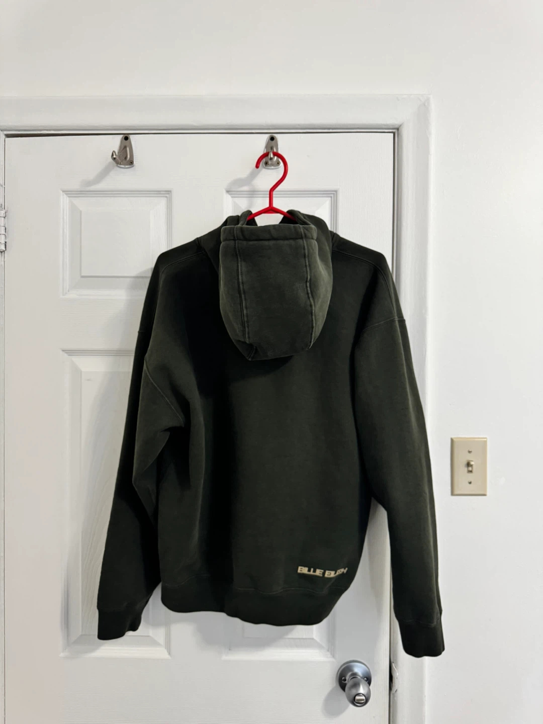 Nike x Billie Eilish Fleece Hoodie Green (Medium) - photo 4
