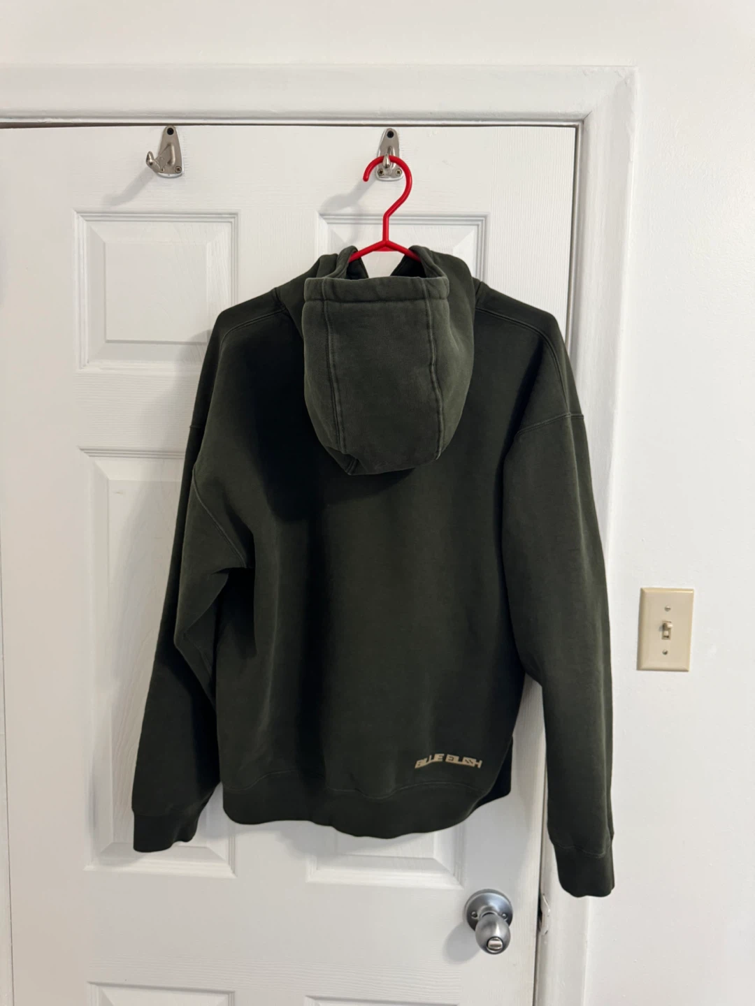 Nike x Billie Eilish Fleece Hoodie Green (Medium) - photo 5