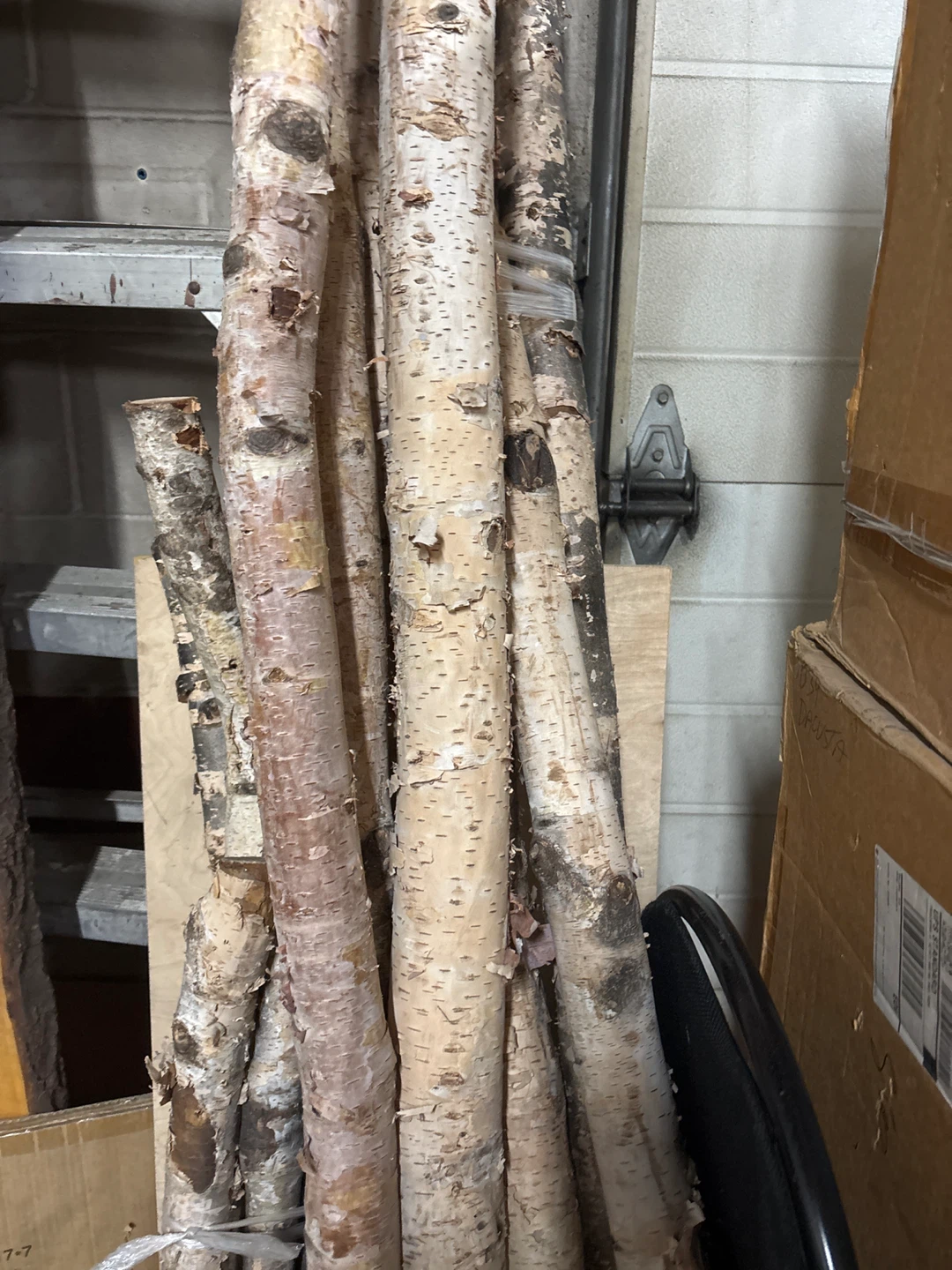 Birch Wood Logs/Branches - Natural Decor - photo 5