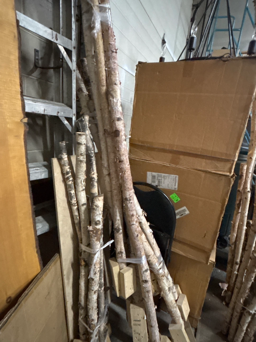 Birch Wood Logs/Branches - Natural Decor - photo 3