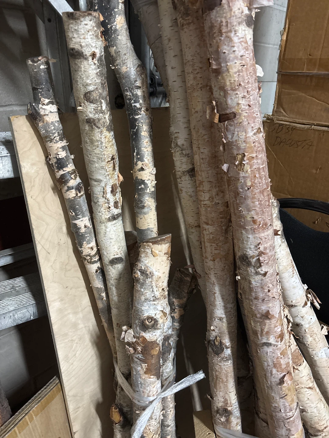 Birch Wood Logs/Branches - Natural Decor - photo 4