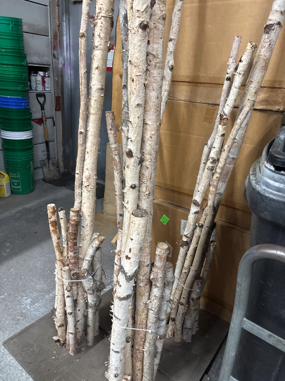 Birch Wood Logs/Branches - Natural Decor - photo 2