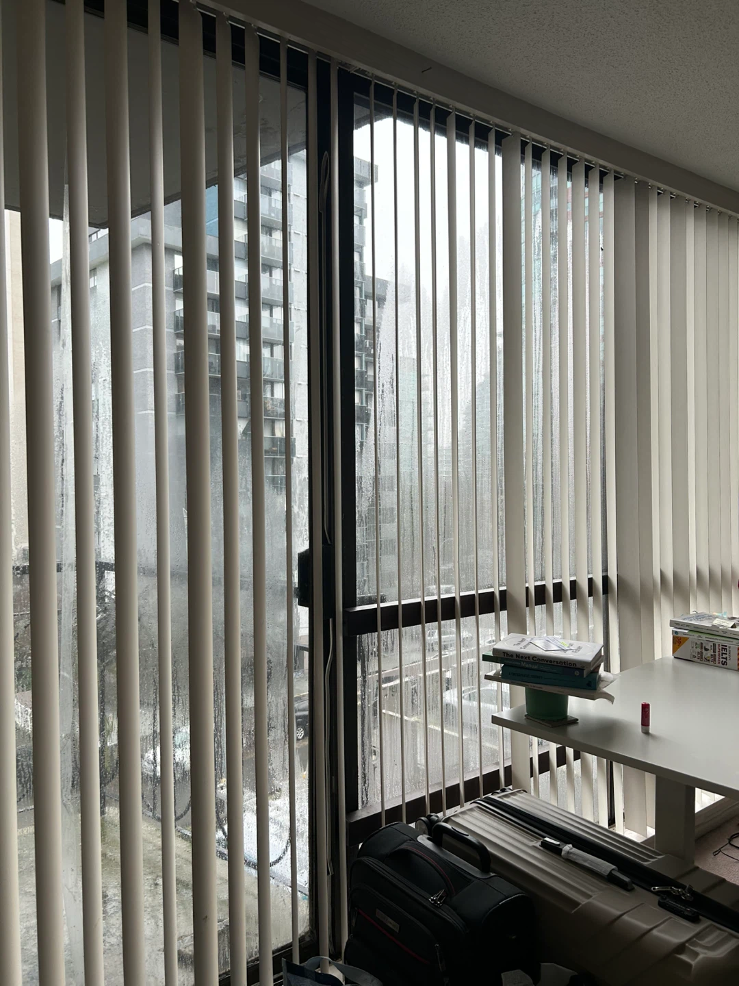 Room for Rent  - Downtown Vancouver - photo 3