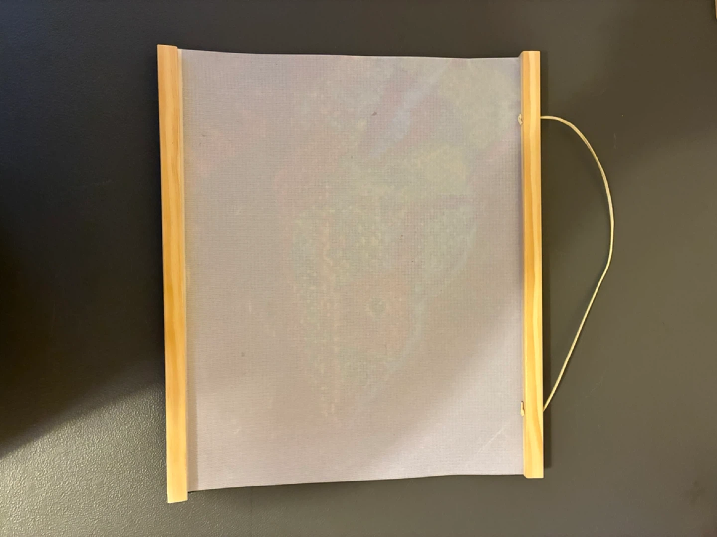 Chameleon Diamond Art Kit - Wall Decor - photo 3