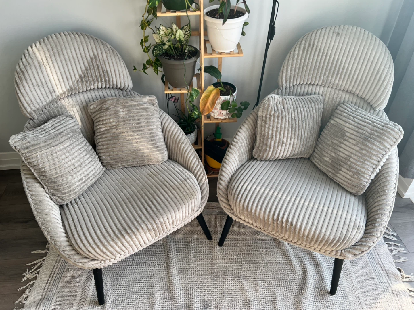 MUST GO BY MONDAY! Pair of Structube HERMAN chairs
