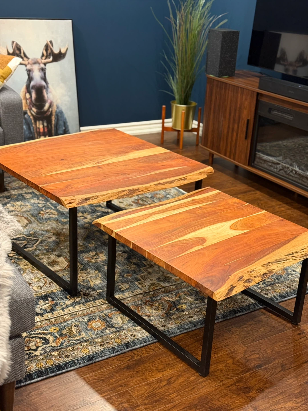 Nesting Coffee Tables - Live Edge Wood & Metal - photo 4