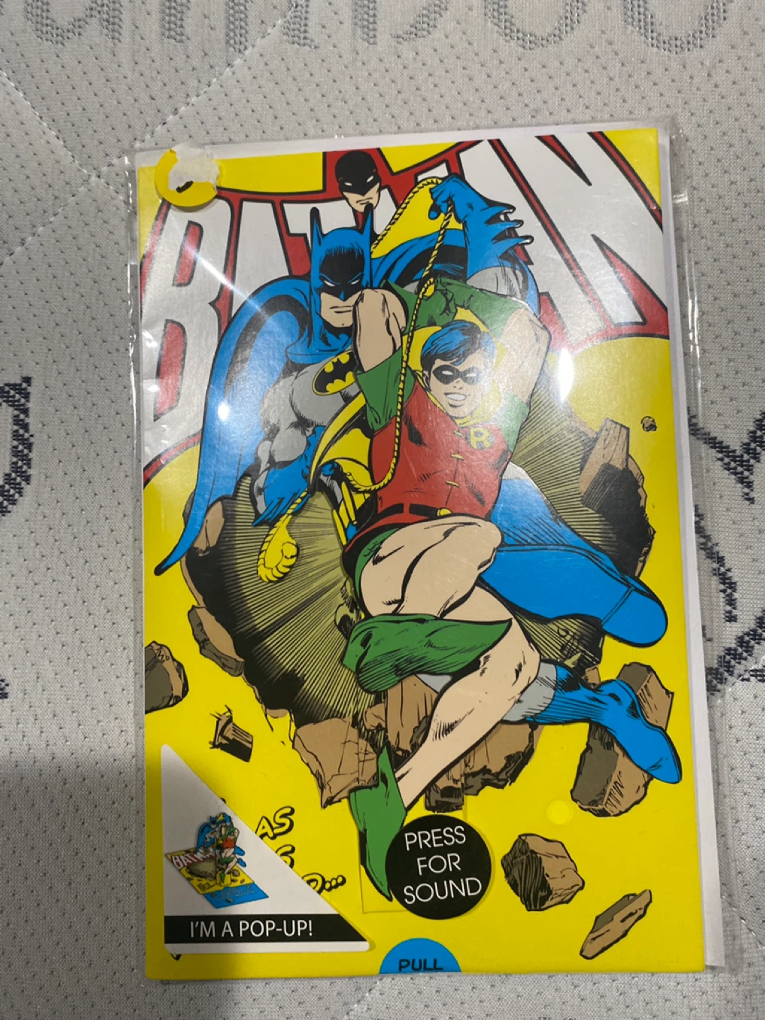 Batman & Robin Pop-Up Card - DC Comics