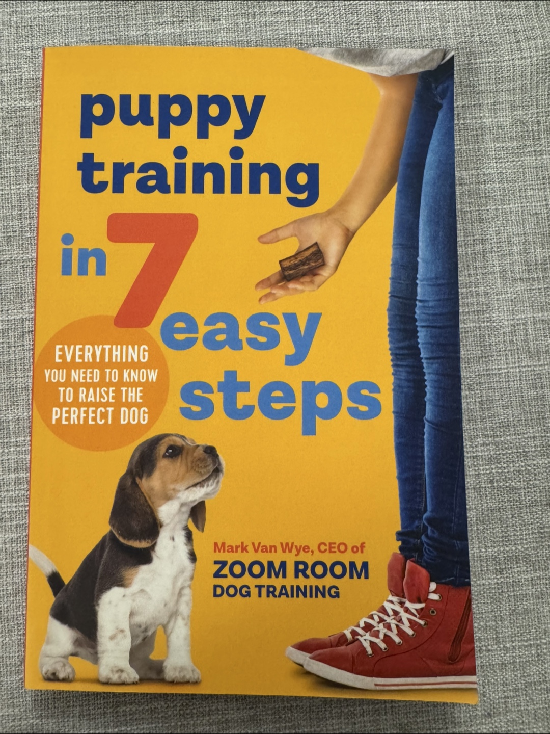 puppy training in 7 easy steps