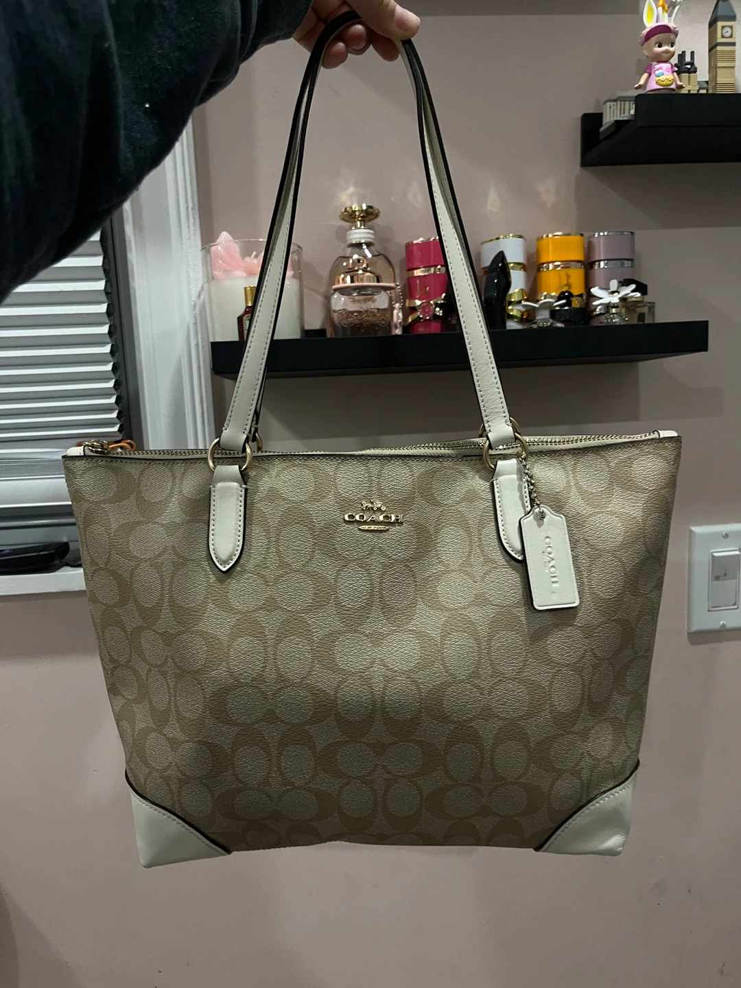 Coach Signature Tote Bag