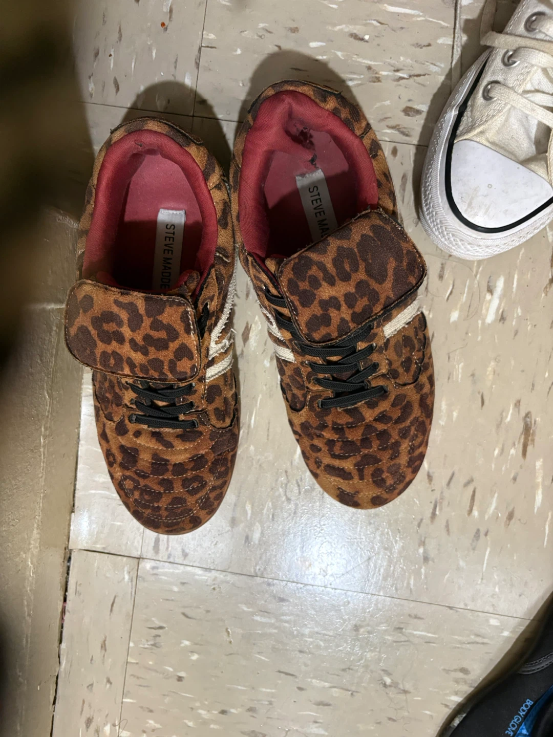 Steve Madden Leopard Print Sneakers